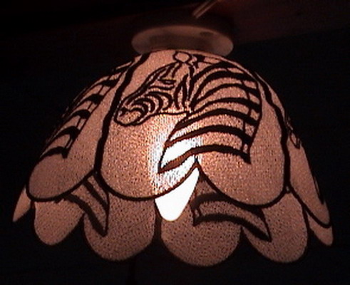 Light on Lampshade