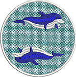 Dolphin Coaster