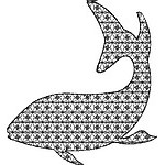 Shark 01