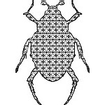Insect 02