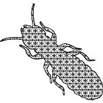 Insect 03