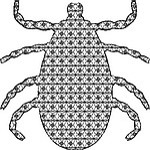 Tick