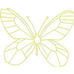 Colorful Butterfly 02