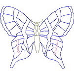 Colorful Butterfly 07